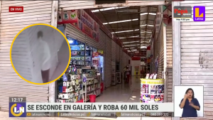 Delincuente se esconde en galería y roba mercadería valorizada en más de 60 mil soles | VIDEO