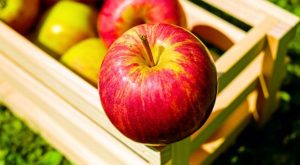Descubre 7 increíbles beneficios y propiedades de las manzanas para tu salud diaria
