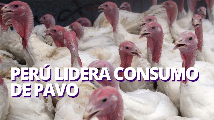 Perú lidera el consumo de pavo en Sudamérica, según Midagri