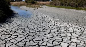 Cambio climático: sequías azotan países de América Latina