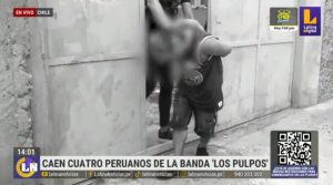 Chile: capturan a 4 peruanos integrantes de la banda de extorsionadores ‘Los Pulpos’