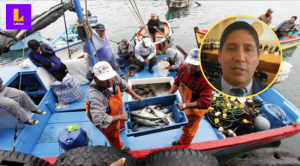Alerta Niño: ¿cómo impactó el fenómeno en el sector pesca en el 2023?