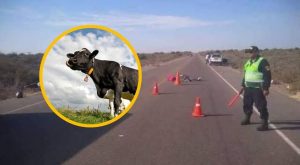 Hombre muere luego de chocar su moto contra una vaca