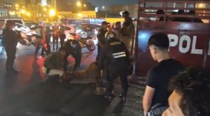 Noche Blanquiazul 2024: Caballo de la PNP muere tras ser atropellado | VIDEO