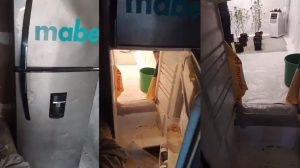 Callao: sujeto tenía invernadero de marihuana dentro de su refrigeradora | VIDEO