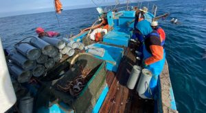 Perú lidera exportación de anguila y avanza hacia la máxima certificación internacional