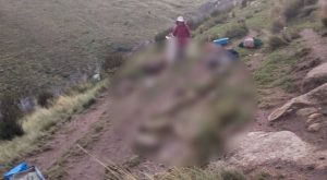 Rayo mata a 22 ovejas y deja grave a mujer en Ayacucho