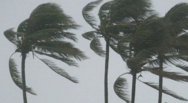 Lima y otras regiones soportarán fuertes vientos de hasta 40 km/h, según Senamhi