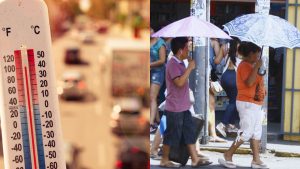 Ola de calor: Se duplicaron las cifras de importación de sombrillas y paraguas