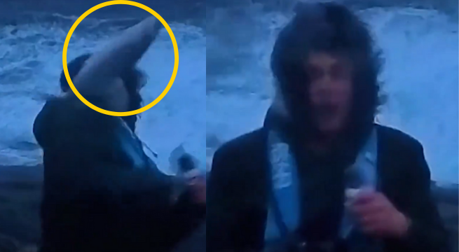 Periodista recibe golpe en la cara por pez en transmisión en vivo | VIDEO