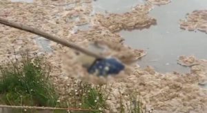 Hallan cuerpo sin vida flotando en río de Puno