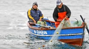 Amplía padrón del Bono S/ 700 para Pescador Artesanal: dónde cobrarlo, LINK y hasta cuándo