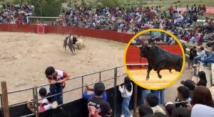 Toro embiste brutalmente a mujer durante fiesta patronal en Ayacucho