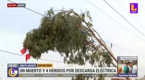 Un muerto y cuatro heridos deja choque de árbol con cables de alta tensión