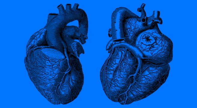 Qué hacer para prevenir paros cardíacos si eres joven: 11 consejos y estrategias