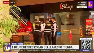 Surco: delincuentes en manada asaltan tienda de celulares dentro de centro comercial