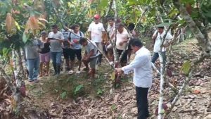 Amazonas: nuevo derrame de petróleo afecta chacra de cacao | VIDEO 