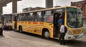 Histórico bus vuelve a su ruta por SJL tras salida del Corredor Morado con tarifa de promoción