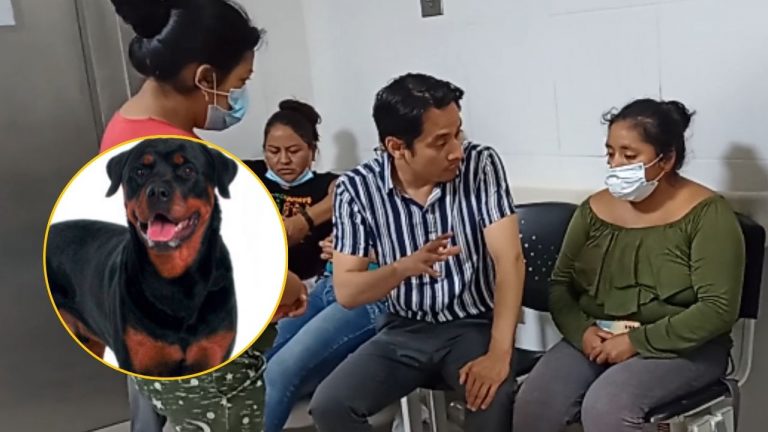 Rottweiler ataca a niño de año y nueve meses: necesitará cirugía plástica