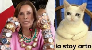 Mira los memes que dejó la conferencia de prensa de Dina Boluarte por ‘Caso Rolex’