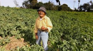 Conoce a Marcelino Abad, el peruano de 124 años, que aspira a batir un Récord Guinness