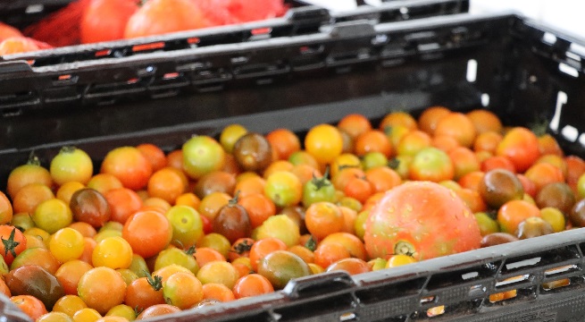 Conoce la cantidad de frutas que se recomienda comer al día según la FAO