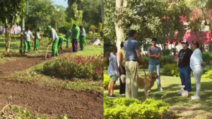 Surquillo: retiran cerco colocado por vecino que intentaba apropiarse de parque | VIDEO
