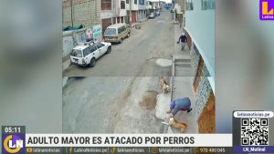 Adulto mayor es atacado por perros | VIDEO