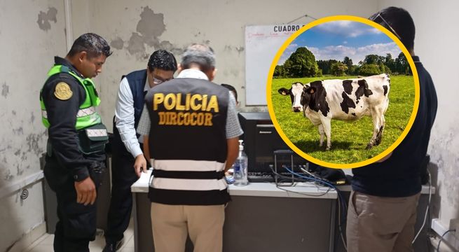 Detienen a dos policías por pedir como coima la pierna de una vaca