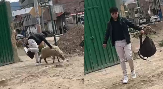 Huancayo: joven golpea hasta la muerte a una oveja en plena calle