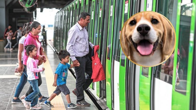 Metropolitano y Metro de Lima: usuarios pueden viajar con sus mascotas