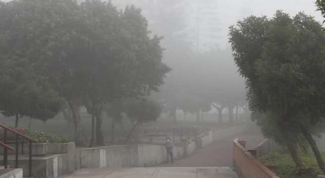 SENAMHI anunció qué zonas seguirán amaneciendo con neblina: Conoce cuáles son