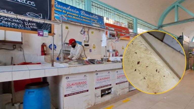 Pueblo Libre: clausuran puesto de venta de pescado tras plaga de cucarachas
