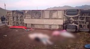 Puno: fatídico accidente vehicular deja 11 muertos en plena carretera