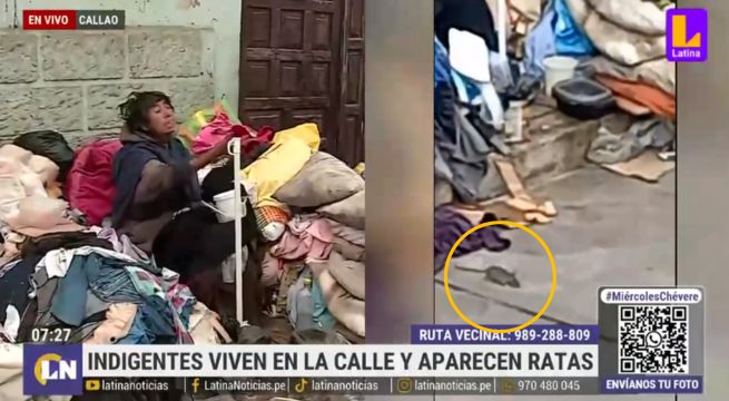 Adulta mayor vive en montículo de reciclaje: vecinos preocupados por aparición de ratas  | VIDEO