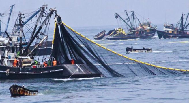 Poder Judicial decidirá sobre pesca industrial en la Reserva Nacional de Paracas
