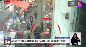 Robo en manada en camal de Yerbateros: delincuentes se llevaron S/100 mil  | VIDEO