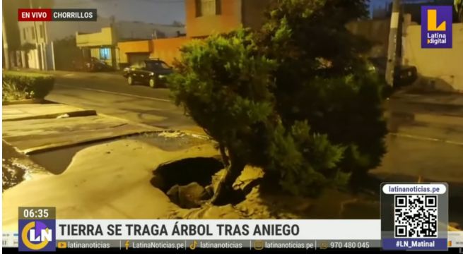 Aniego se traga árbol y deja sin agua a vecinos de Chorrillos [VIDEO]