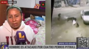 Anciano es atacado por cuatro perros pitbull: quedó con más de 50 puntos en el cuerpo | VIDEO