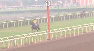 ¡Entrada gratuita! Disfruta de carreras de caballos en Hipódromo de Monterrico este domingo 23 | VIDEO