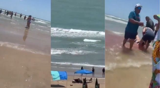 Dos personas heridas por mordedura de un tiburón en Isla del Padre, Texas [VIDEO]