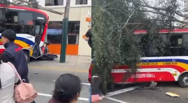 Accidente en Avenida Brasil: bus se despista y deja una persona fallecida