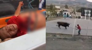 Obrero termina en UCI tras ataque de toro en Ayacucho | VIDEO