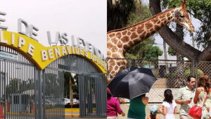 ¿Quiénes pueden entrar GRATIS al Parque de las Leyendas este viernes 30 de agosto?