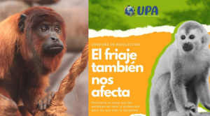 «El friaje también nos afecta», la campaña para proteger especies rescatadas en la selva