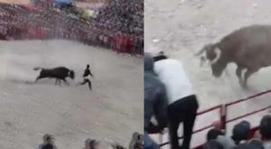 Ocho personas alcoholizadas terminan heridas durante corrida de toros por fiesta patronal [Video]