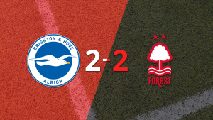 Empate a 2 entre Brighton and Hove y Nottingham Forest