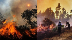 ¿Cuántos incendios forestales activos y focos de calor hay en el Perú?