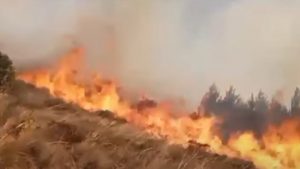 Diez muertos y 3 desaparecidos por incendios forestales