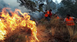 Incendio forestal en el norte del Perú: Lambayeque y Cajamarca en emergencia